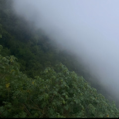 voni - day (prod.becker x vlad)