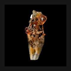 PREMIERE – Radeckt – Himiko (microcastle)