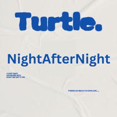 Night After Night (Turtle Twist)