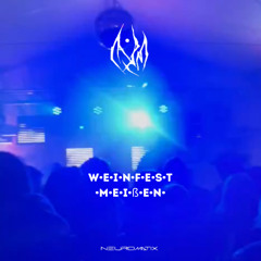 Weinfest Meißen 2024 - DJ Set