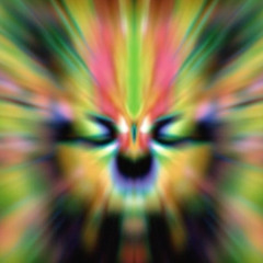 EIGHT JUDGEMENT DAYS A WEEK