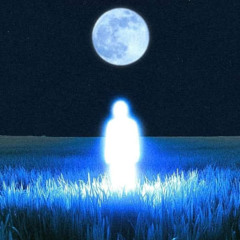 Low Lights and Other Frequencies