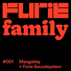 Mangabey vs Furie Soundsystem - Furie Family #001