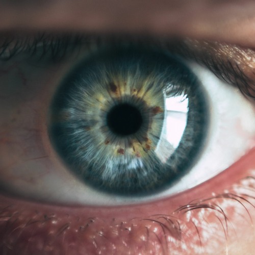 infested w/ ty (prod. lieu x 1nder)