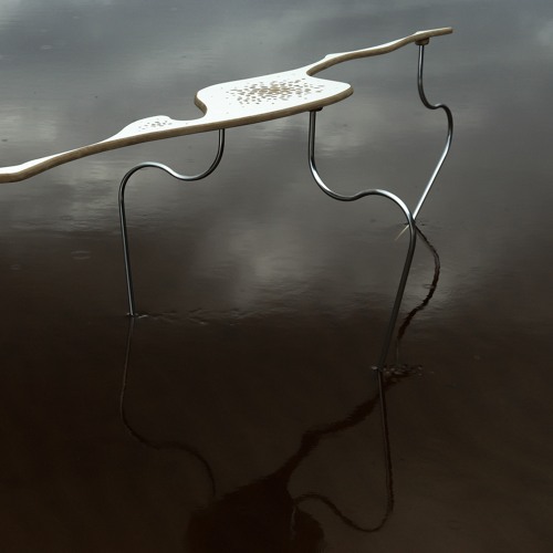 Iguana - Introspecção