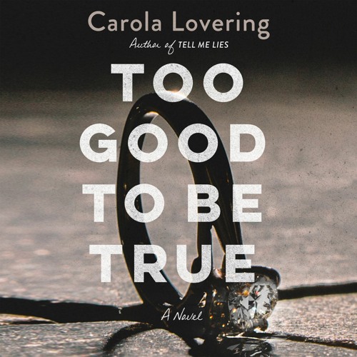 Too Good To Be True by Carola Lovering audiobook excerpt