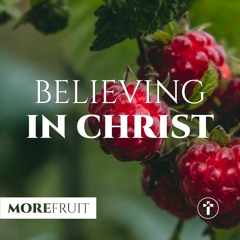 More fruit: Believing in Christ | Louis Kotzé