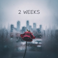 2 Weeks