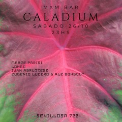 Caladium @MXM - 26-10-2024 - Free Download