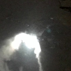 everyday w/ michael duncan