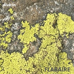 dive:in vol.02 by Flabaire