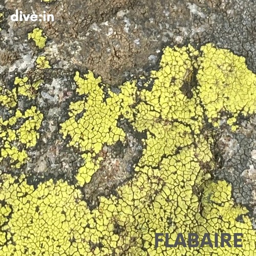 dive:in vol.02 by Flabaire