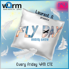 LAURENT N. FLY DAY RADIO SHOW N°49 @ WARM FM