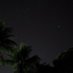 Stars in the Night Sky