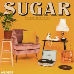 Wildest - Sugar (The Choice Is Yours)