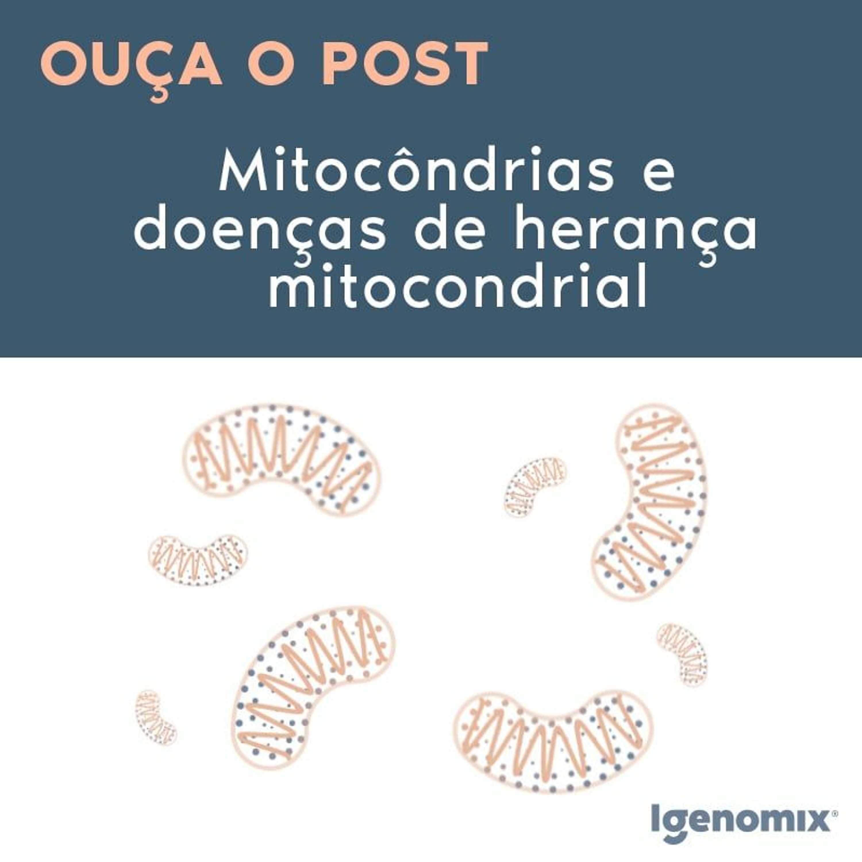 Igenomix Brasil