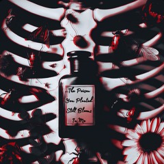 The Poison You Planted Still Blooms In Me