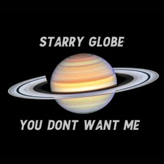 You Dont Want Me