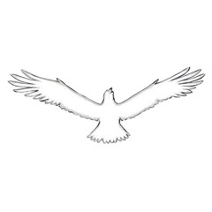 Black bird (glossalia)