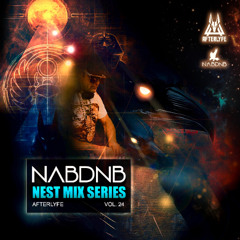NAB DNB Nest Mix Series [Afterlyfe] - Vol 24