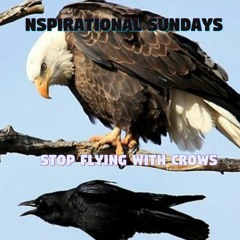 STOP FLYING WITH CROWS - NSPIRATIONAL SUNDAYS