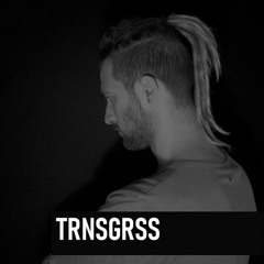 Raw Rave 17 - TRNSGRSS