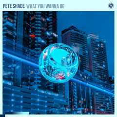 Pete Shade - What You Wanna Be