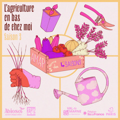 4 Saisons dans des champs de légumes !