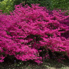 🍩😳  Ⓘ 𝐀ĮŇⓉ 𝐅αlㄥιή ➃ ⓊŘ 丅ŕ丨ｘˣx  💎☞      P    (@ydhtbpa)