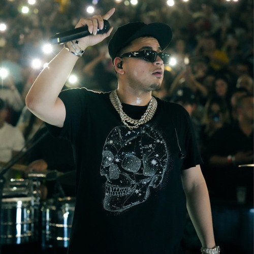 Stream FUERZA REGIDA MIXX (SHAWTY BAE 2.5) by chino254 | Listen online