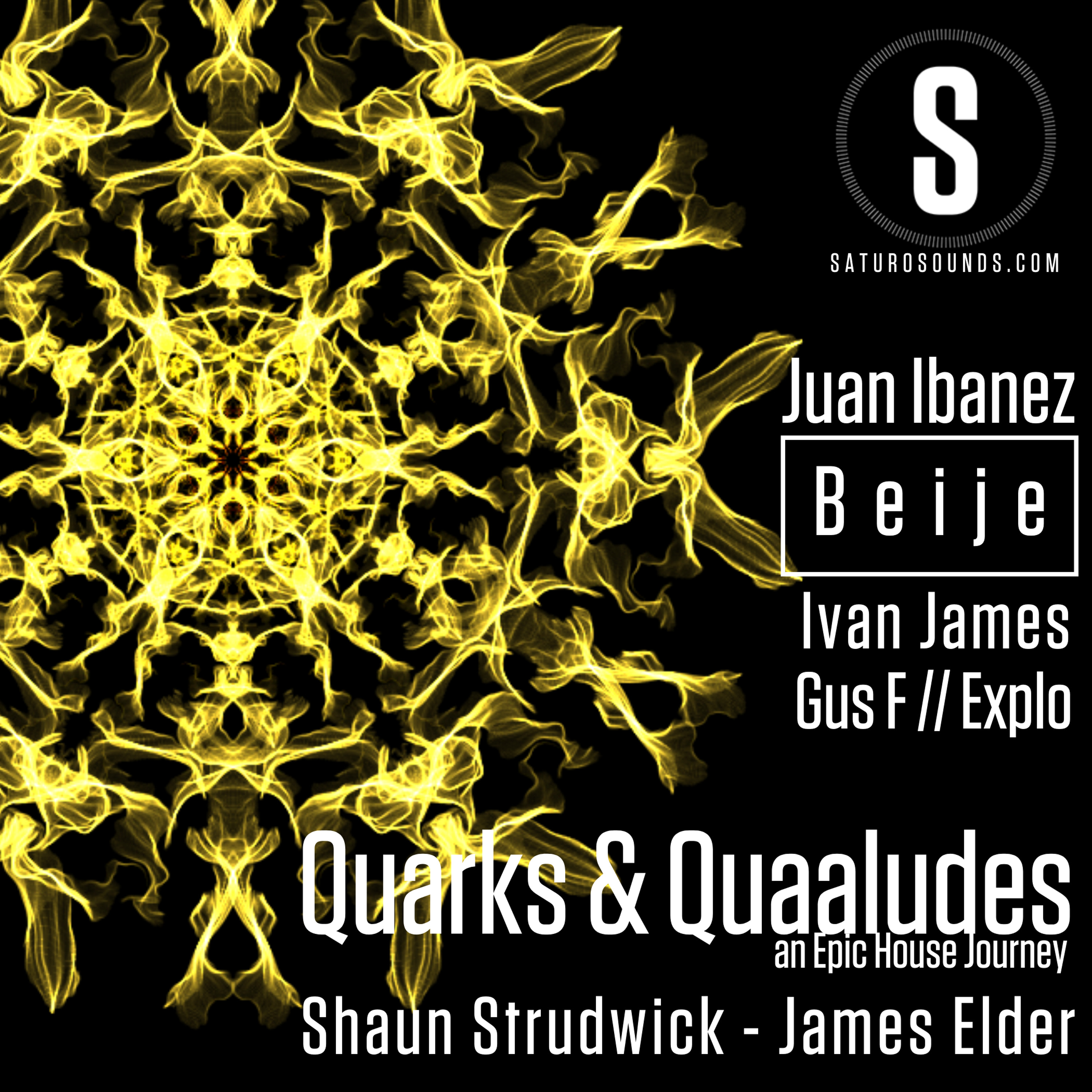 Quarks & Quaaludes #EpicHouseJourney
