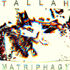 Tallah - L.E.D. [VOCAL COVER 2025]