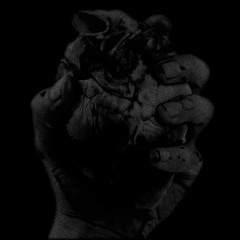 PREMIERE // Trust True - Animal Planet [GR2EP04]