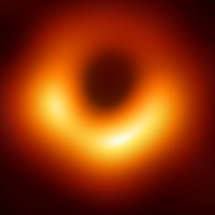 And This Just In... Flying Blind #51