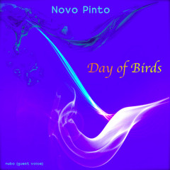 Day of Birds