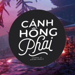 Cánh Hồng Phai (Remix)
