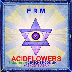 Depeche Mode - Ghosts Again (E.R.M Remix)