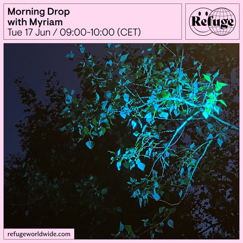 Morning Drop - Myriam - 17 Jun 2025