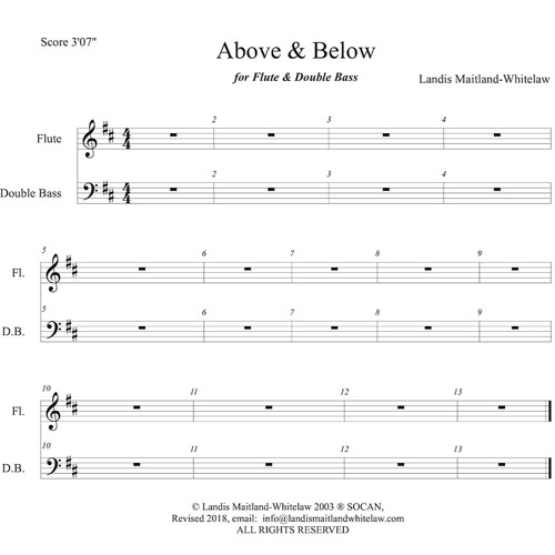 Above & Below - Flute - Bass