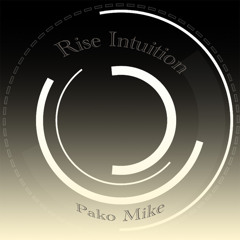 Rise Intuition (Original Mix)