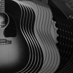 The Pioneer (The Acoustic Swarmitar Demo)