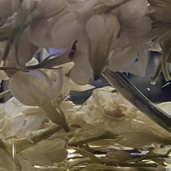 ｔｈｉｒｓｔｙ