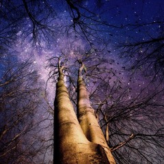Gotek's Progressive House Demo Sets - Melodic and Emotive Sounds.. ^_^