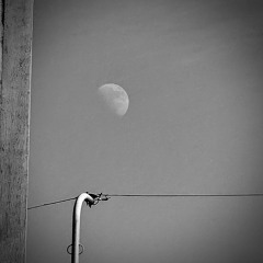 BOBBY - moon (Cover)