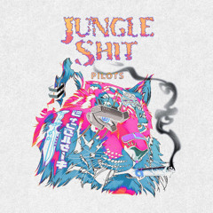 Car Radio [Jungle mix]