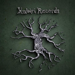 Nergil Live act_Music Application for MODEM festival_Kabiri Records