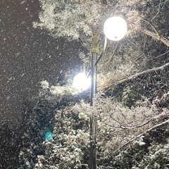 널 좋아하는 거야