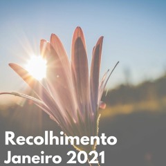 Recolhimento de Janeiro/2021
