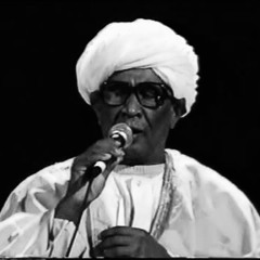 مبارك حسن بركات - مداعب الغصن الرطيب