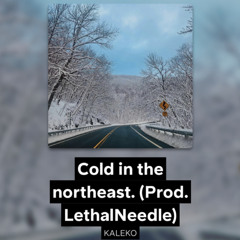 Cold in the northeast. (Prod. LethalNeedle)